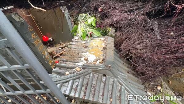 ▲台南市縣城隍廟前老榕樹疑因雨後不支倒塌,壓損廟旁五營建物上蓋,所幸無人傷亡,工務局接獲通報後派員到場切割移除倒塌樹木,預計下班前完成現場處理。(記者林東良翻攝,下同)