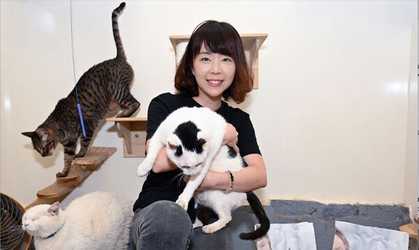 ▲▼ 。(圖/品牌提供)