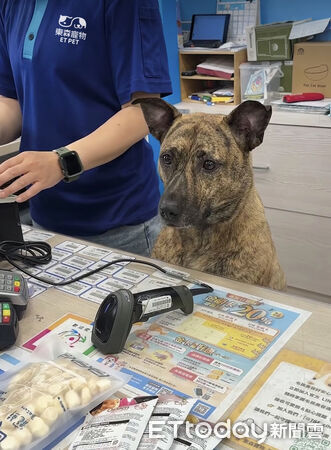 ▲。(圖/東森寵物提供)