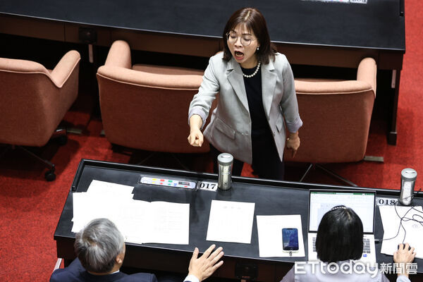 ▲民眾黨立委許忠信發言,遭林淑芬飆罵白賊、俗辣。(圖/記者林敬旻攝)
