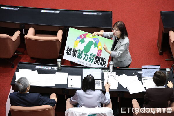 ▲民眾黨立委許忠信發言,遭林淑芬飆罵白賊、俗辣。(圖/記者林敬旻攝)