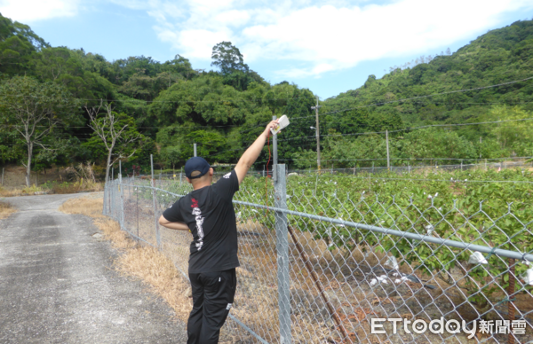 ▲花蓮縣政府為協助農民防範野生動物危害農作,延長電牧器電圍網補助申請。(圖/花蓮縣政府提供)