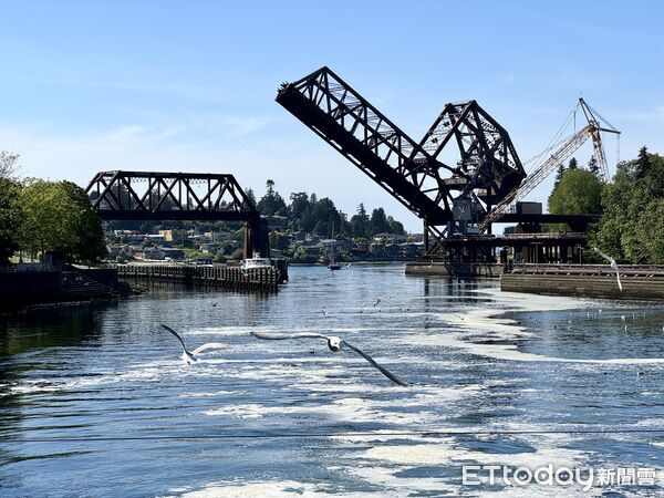▲巴拉德船閘與鮭魚梯道(Hiram M. Chittenden Locks)是西雅圖在地人才知的景點。(圖/記者彭懷玉攝)