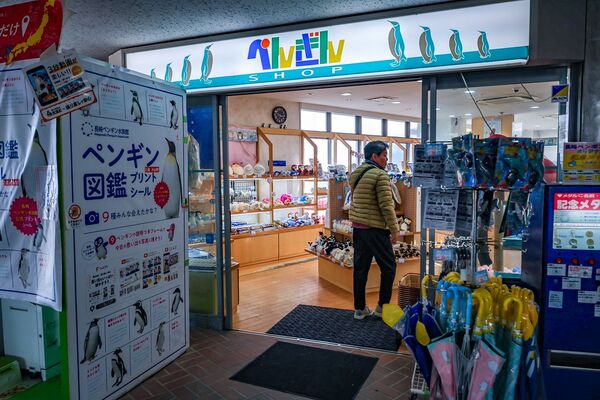 ▲▼長崎企鵝水族館。(圖/部落客陳小可的吃喝玩樂授權提供)