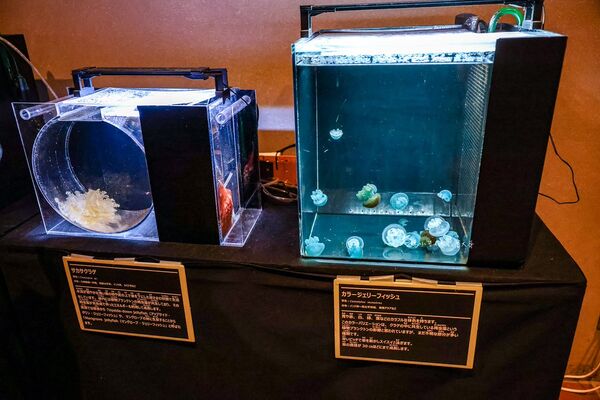 ▲▼長崎企鵝水族館。(圖/部落客陳小可的吃喝玩樂授權提供)