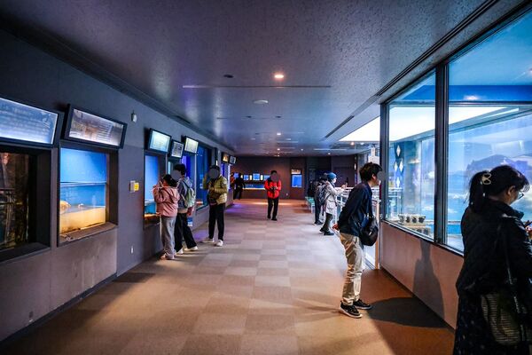 ▲▼長崎企鵝水族館。(圖/部落客陳小可的吃喝玩樂授權提供)