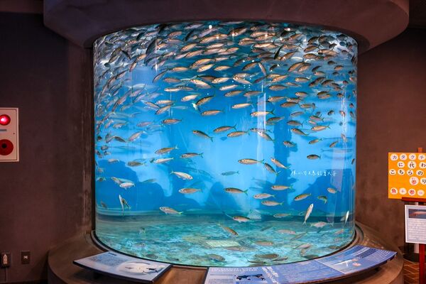 ▲▼長崎企鵝水族館。(圖/部落客陳小可的吃喝玩樂授權提供)