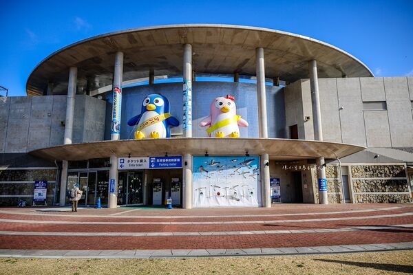 ▲▼長崎企鵝水族館。(圖/部落客陳小可的吃喝玩樂授權提供)
