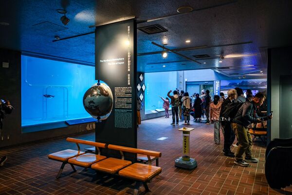 ▲▼長崎企鵝水族館。(圖/部落客陳小可的吃喝玩樂授權提供)