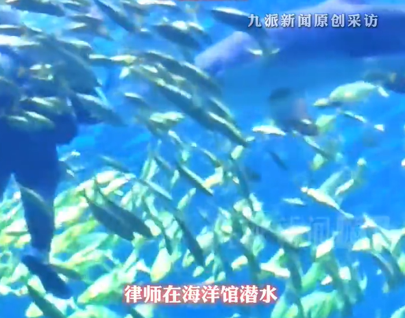 ▲▼陸男潛水「遭鯊魚咬爆頭」。(圖/翻攝自微博)
