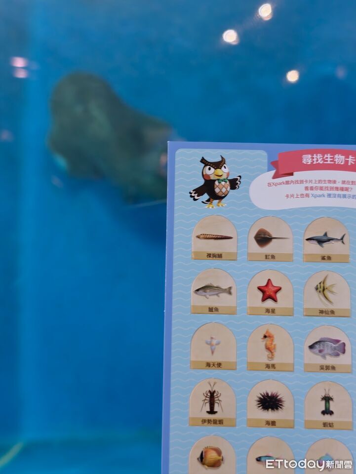 ▲▼ 。(圖/記者蘇晟彥攝)