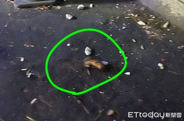 ▲虎尾台一線惠來里路段電桿突然爆出大片火花,耀眼閃光照亮夜空。(圖/游瓊華翻攝)