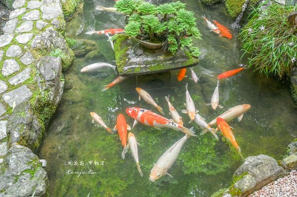 ▲▼和田の屋 本店。(圖/周花花授權提供)