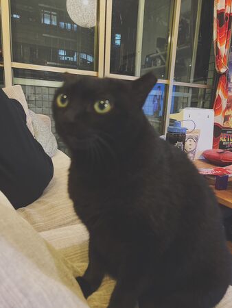 ▲。(圖/爺爺姊姊提供)
