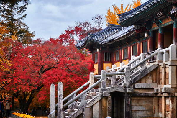 ▲韓國釜山佛國寺,層疊出秋日專屬的紅楓絕景;漫步泰國暹羅古城歷史倒影,感受泰式古建築的壯麗雕琢。(圖/五福旅遊提供)