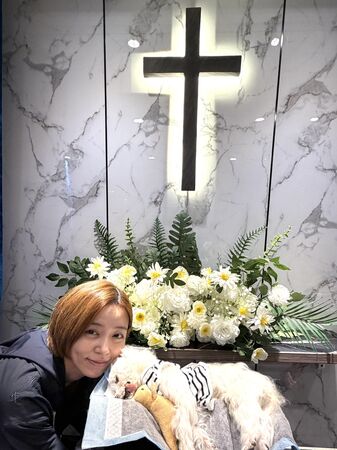 ▲王瞳飼養多年的愛犬「哈嚕」離世。(圖/王瞳提供)