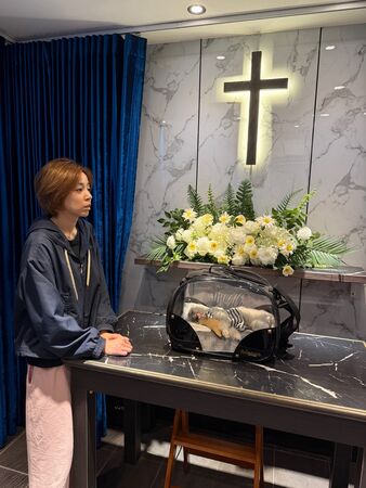 ▲王瞳飼養多年的愛犬「哈嚕」離世。(圖/王瞳提供)