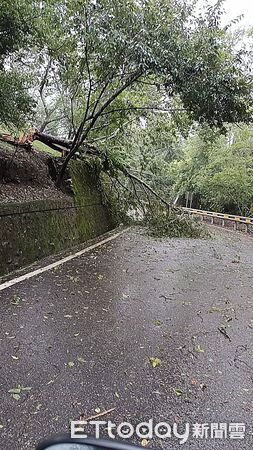 ▲巴威颱風造成南投部分地區停電,台電全力冒雨搶修中。(圖/台電南投區處、仁愛鄉公所提供)