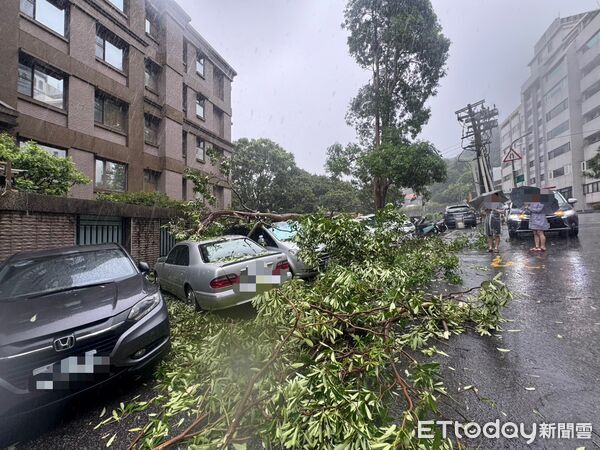 ▲▼中颱巴威襲台,北市三起路樹倒塌,天母一棵大樹橫壓5汽車。(圖/記者邱中岳翻攝)