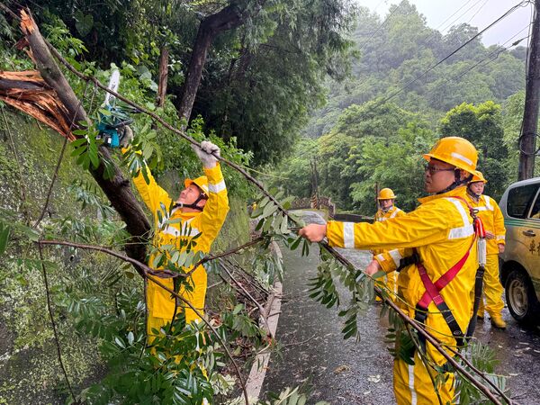 ▲▼強風造成樹木倒塌,壓損高壓線路,台電人員於宜蘭大同鄉進行搶修。(圖/台電)