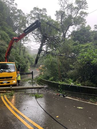 ▲▼強風造成新竹寶山鄉樹木滑落致電桿斷裂,台電動員搶修。(圖/台電)