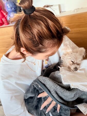 ▲▼愛犬過世前出國遭炎上!木下優樹菜揭原因回嗆酸民。(圖/翻攝自Instagram/yukina1204xoxo)