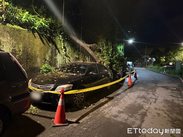 ▲北市文山區興德路因颱風環流造成路樹倒塌壓毀車輛意外。(圖/記者張君豪翻攝)