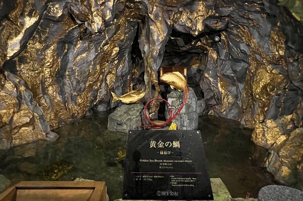 ▲▼九州大分涼夏旅行。(圖/部落客CJ夫人授權提供)