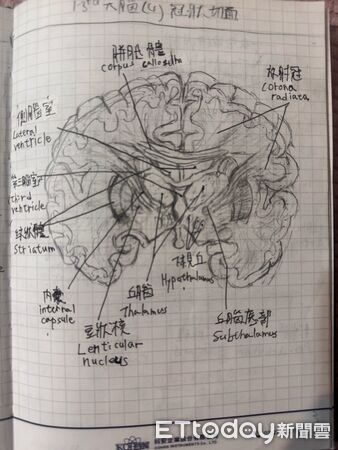 ▲胡鈞翔受到父親影響,會自行翻閱人體構造學書籍並描繪做筆記。(圖/胡奕璿提供)