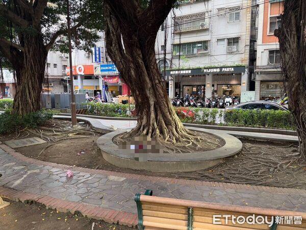 ▲▼事發的新莊福壽公園 。(圖/記者陳以昇翻攝)
