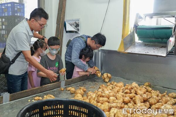 ▲▼ 嘉義太保市公所推「太保探險趣」深度遊!親子化身職人體驗在地產業魅力 。(圖/太保市公所提供)