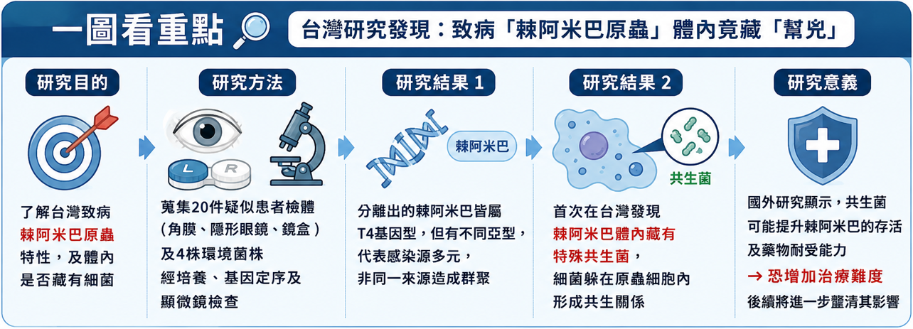 ▲▼ 棘阿米巴 。(AI協作圖/記者邱俊吉製作,經編輯審核)