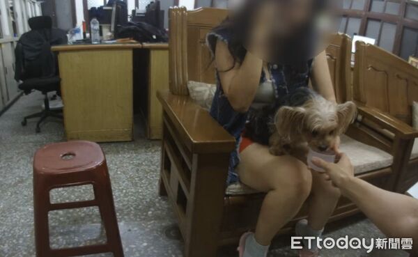 ▲▼一隻名叫弟弟的瑪爾濟斯狗狗,趁飼主不注意時離家,卻獨自走進派出所內求助。(圖/記者吳世龍翻攝)