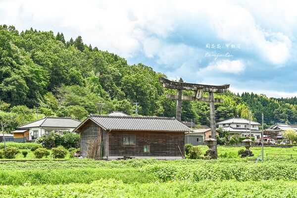 ▲▼原尻瀑布名列日本瀑布百選,被譽為東洋尼加拉瀑布。(圖/《周花花》授權提供)