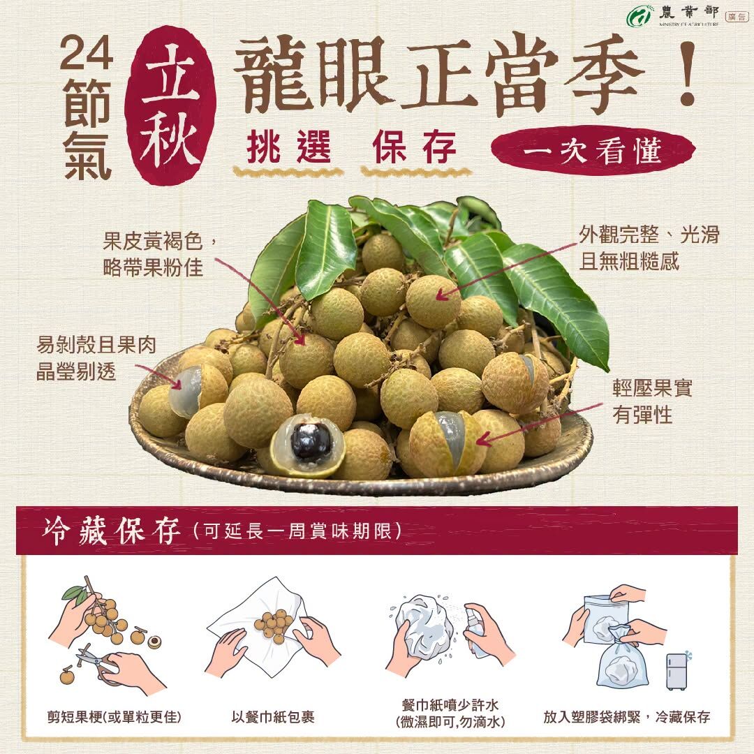 ▲▼農業部提供龍眼「挑選+保存」的四大訣竅。(圖/記農業部提供)