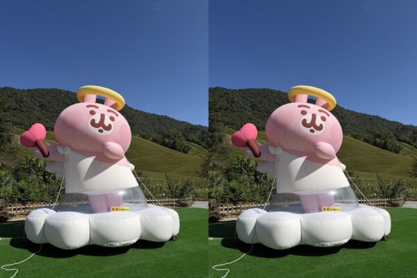 ▲▼赤科山金針花季。(圖/翻攝自愛。稻鎮 玉溪地區農會臉書專頁)