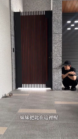 ▲▼敖犬家中飛來一隻斑鳩。(圖/翻攝自IG)