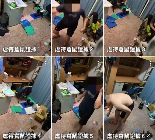 涉虐殺40隻倉鼠！男大生考上成大研究所　校方證實：無權拒絕
