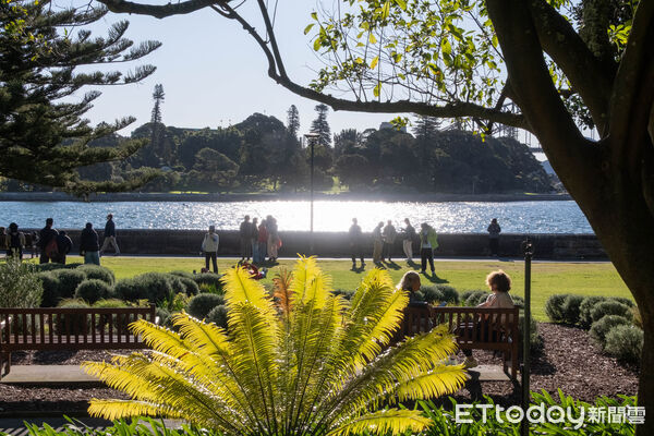 ▲▼雪梨皇家植物園(Royal Botanic Garden)。(圖/記者彭懷玉攝)