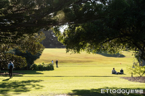 ▲▼雪梨皇家植物園(Royal Botanic Garden)。(圖/記者彭懷玉攝)
