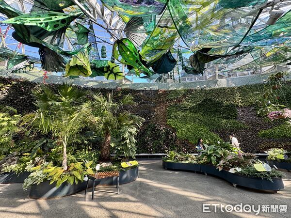▲▼雪梨皇家植物園(Royal Botanic Garden)。(圖/記者彭懷玉攝)