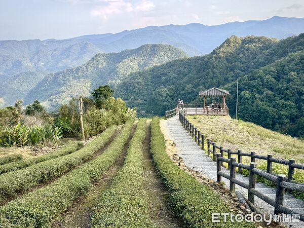 ▲▼南山寺景觀平台,坪林觀音台,坪林老街,包種茶霜淇淋。(圖/記者彭懷玉攝)