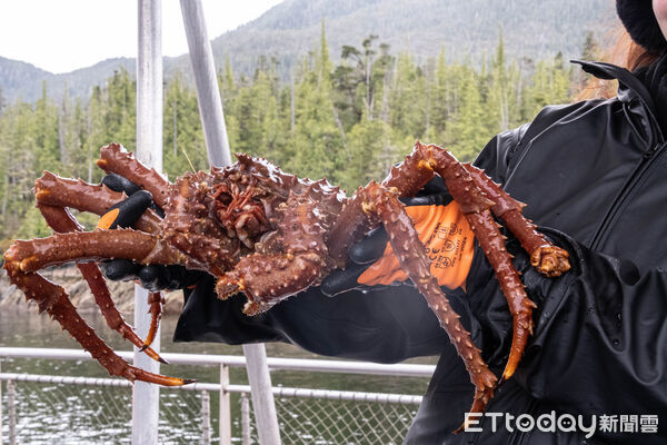 ▲▼阿拉斯加,凱契根(Ketchikan)是阿拉斯加第一個停靠港,溪街(Creek Street)
, 白令海捕蟹船,Aleutian Ballad捕蟹船,Ketchikan Crab & Go,。(圖/記者彭懷玉攝)