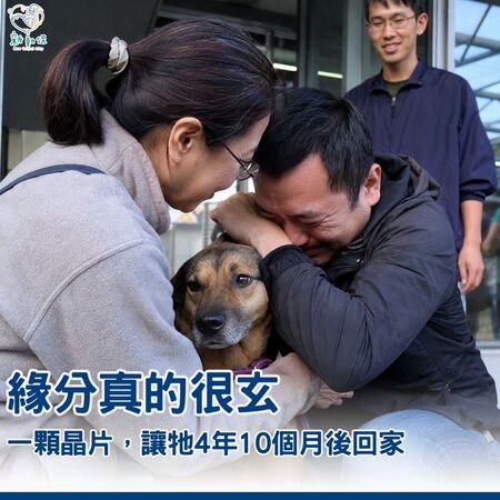 ▲。(圖/新北市政府動物保護防疫處提供)