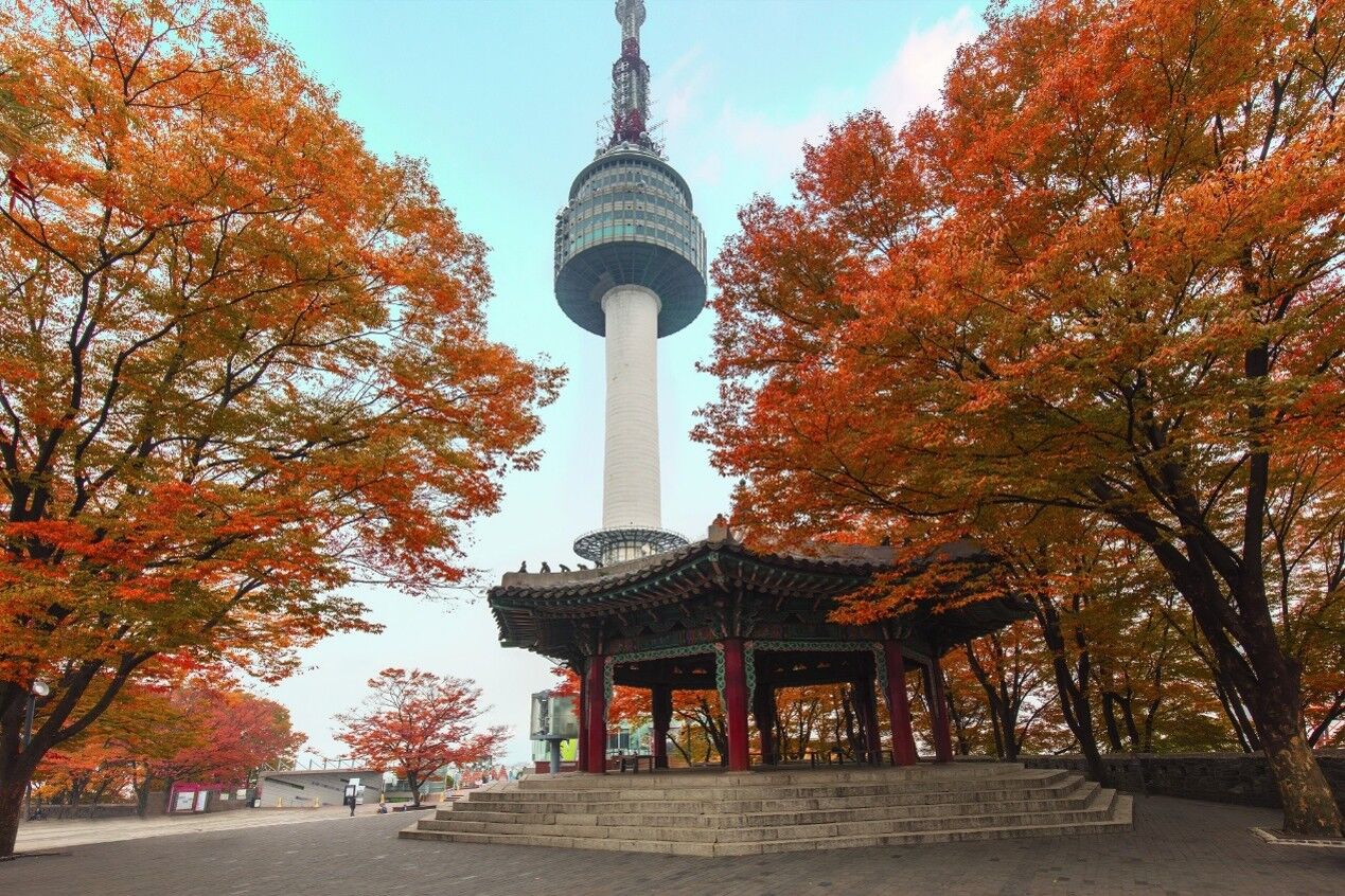 秋遊首爾不只賞楓 粉黛紫芒一次收藏(圖/shutterstock)