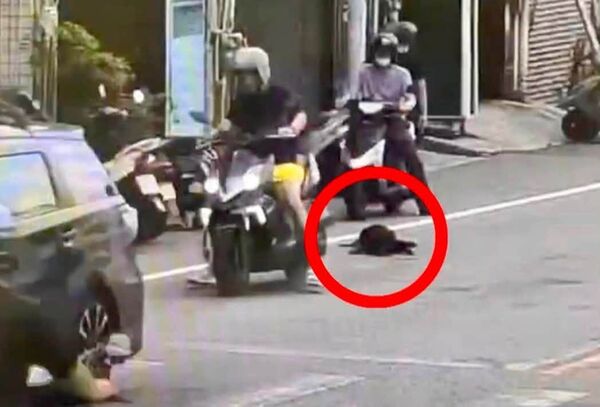 ▲。(圖/翻攝自新竹市浪愛傳遞貓狗tnvr協會)