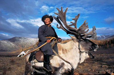 蒙古杜科哈少數民族，全靠馴鹿過生活