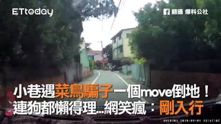 小巷遇菜鳥騙子一個move倒地！  連狗都懶得理...網笑瘋：剛入行