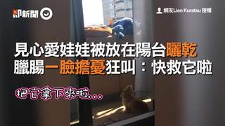 見心愛娃娃被放在陽台曬乾-臘腸一臉擔憂狂叫：快救它啦