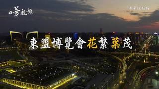 東盟博覽會花繁葉茂